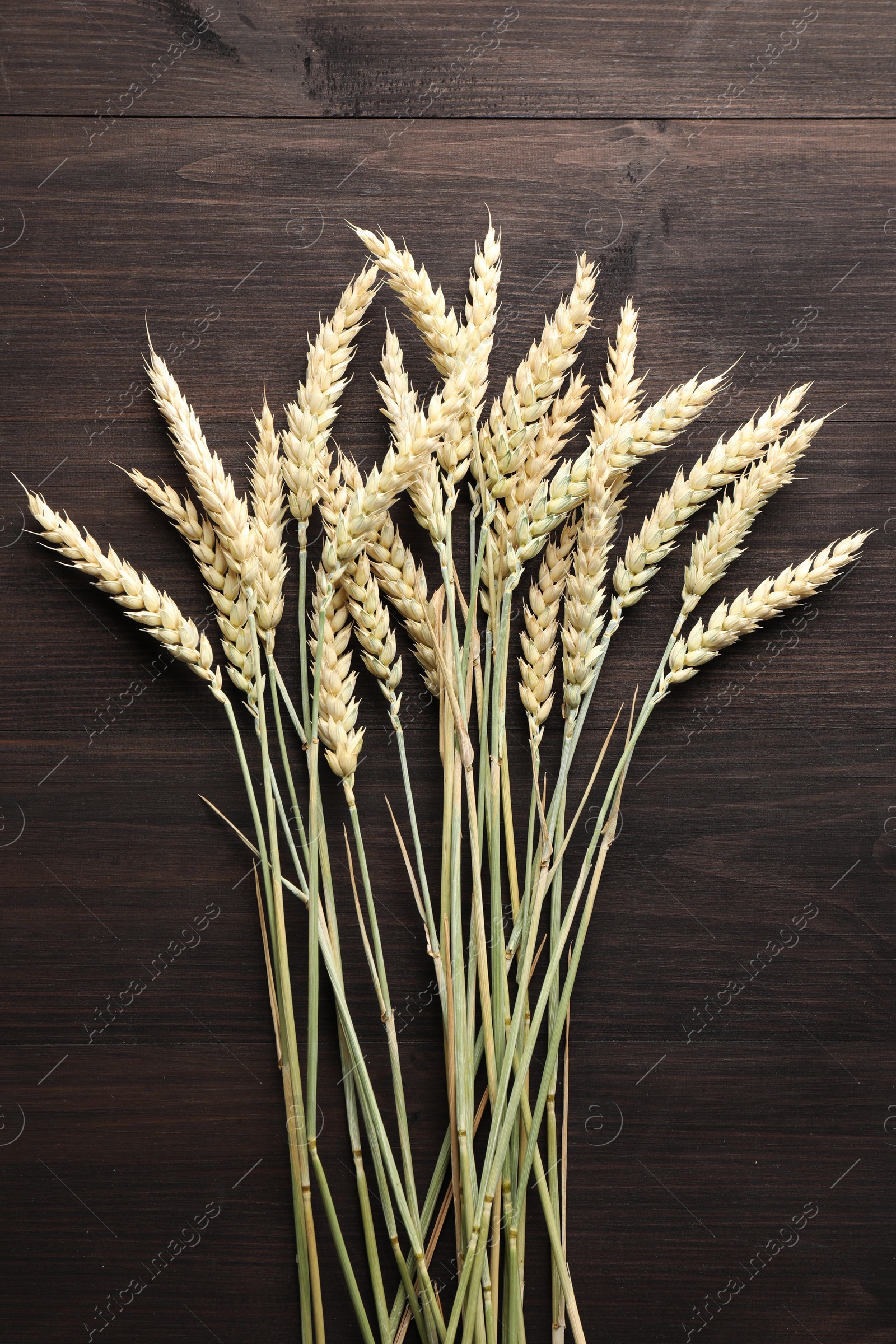 Photo of Many wheat spikes on wooden table, flat lay