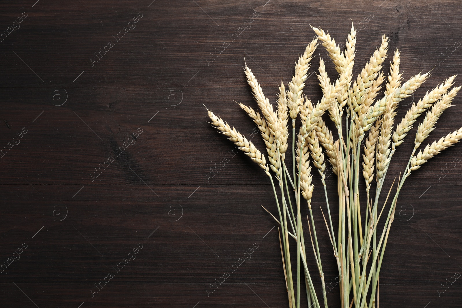 Photo of Many wheat spikes on wooden table, flat lay. Space for text