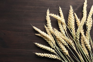 Photo of Many wheat spikes on wooden table, flat lay. Space for text