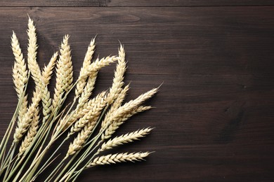 Photo of Many wheat spikes on wooden table, flat lay. Space for text