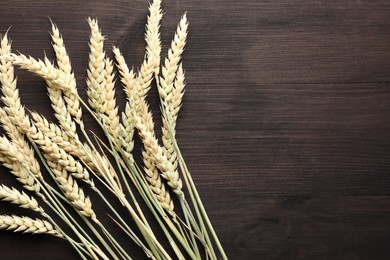 Photo of Many wheat spikes on wooden table, flat lay. Space for text