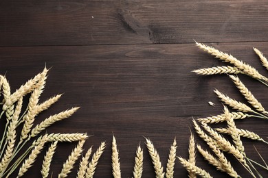 Photo of Many wheat spikes on wooden table, flat lay. Space for text