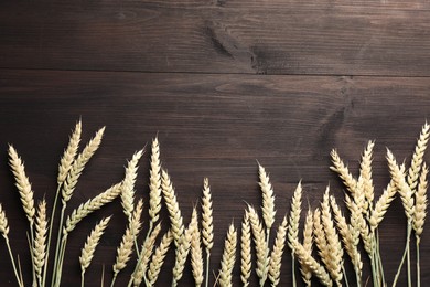 Photo of Many wheat spikes on wooden table, flat lay. Space for text