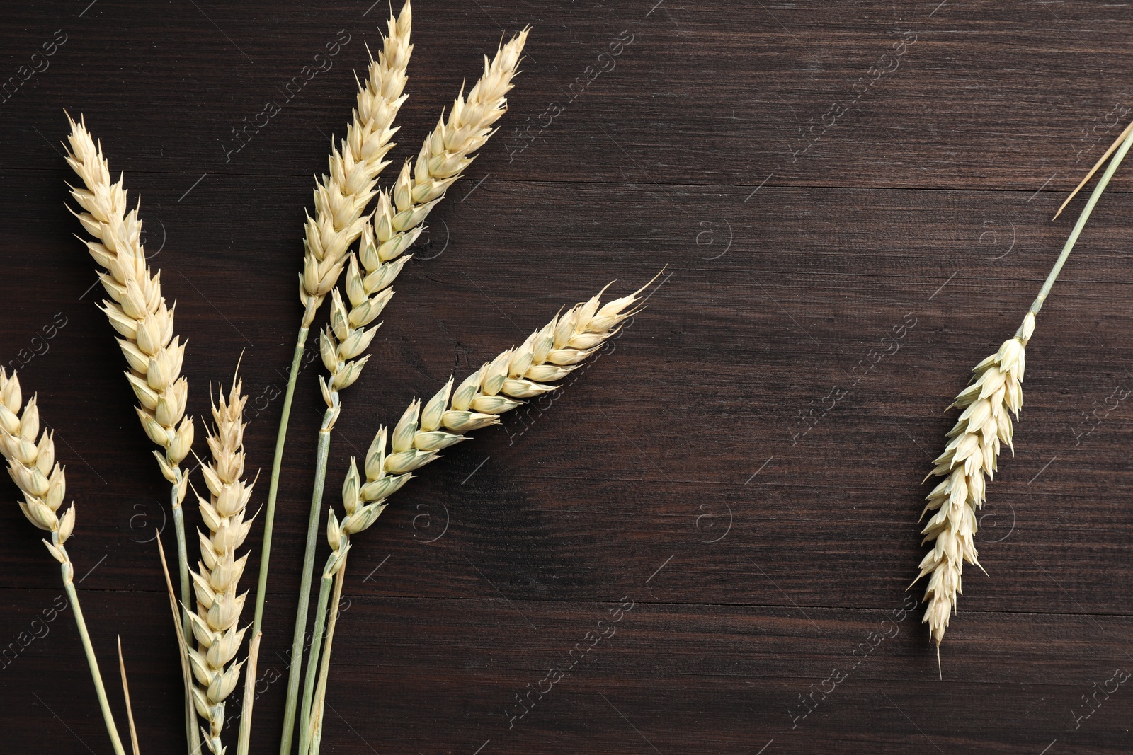 Photo of Many wheat spikes on dark wooden table, flat lay