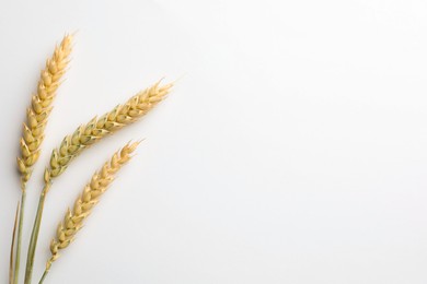 Photo of Wheat spikes on white background, flat lay. Space for text