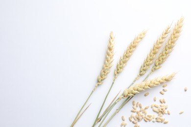 Photo of Wheat spikes and seeds on white background, flat lay. Space for text