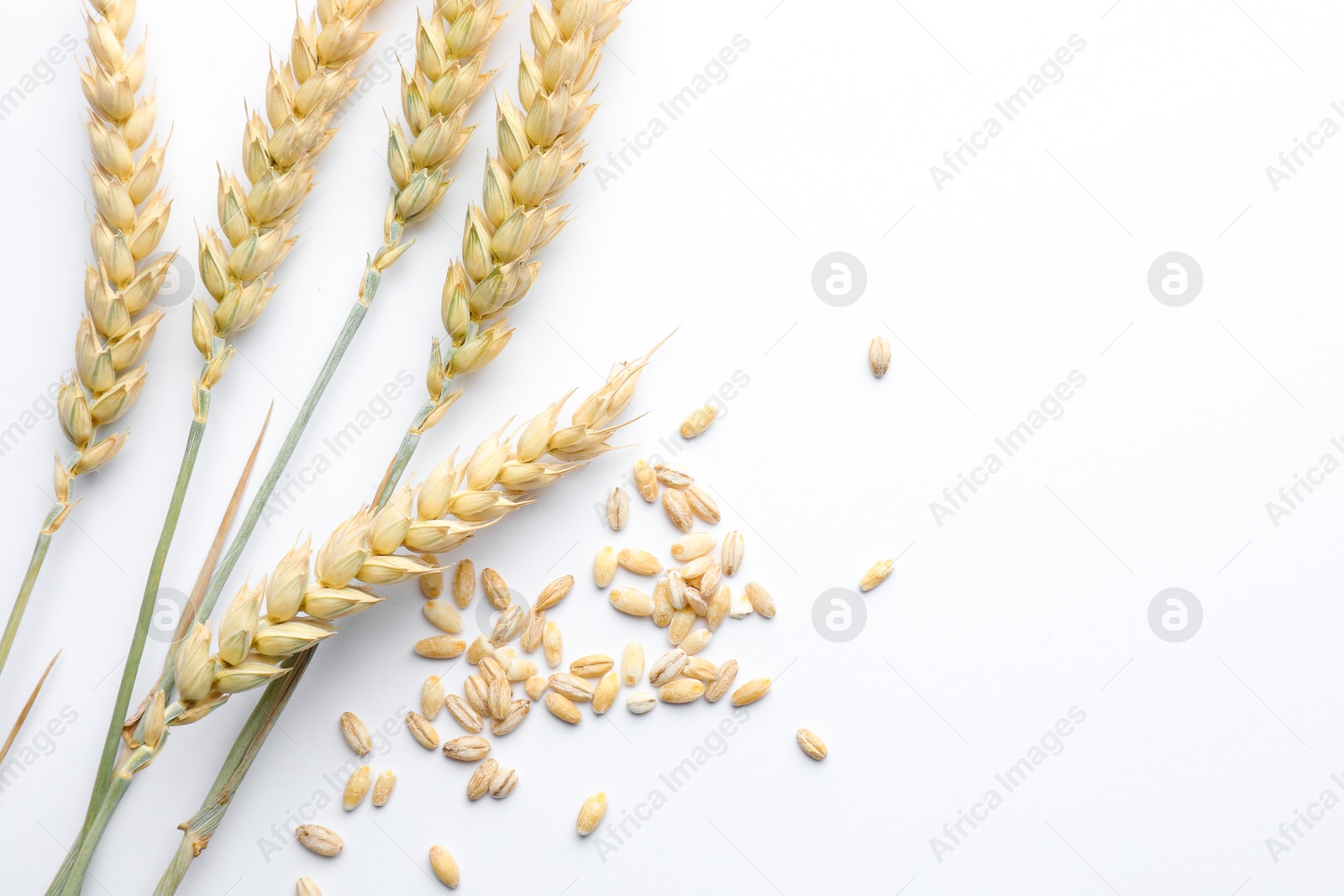 Photo of Wheat spikes and seeds on white background, flat lay. Space for text