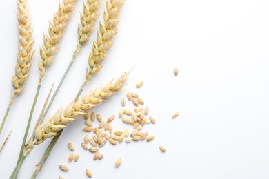 Photo of Wheat spikes and seeds on white background, flat lay. Space for text