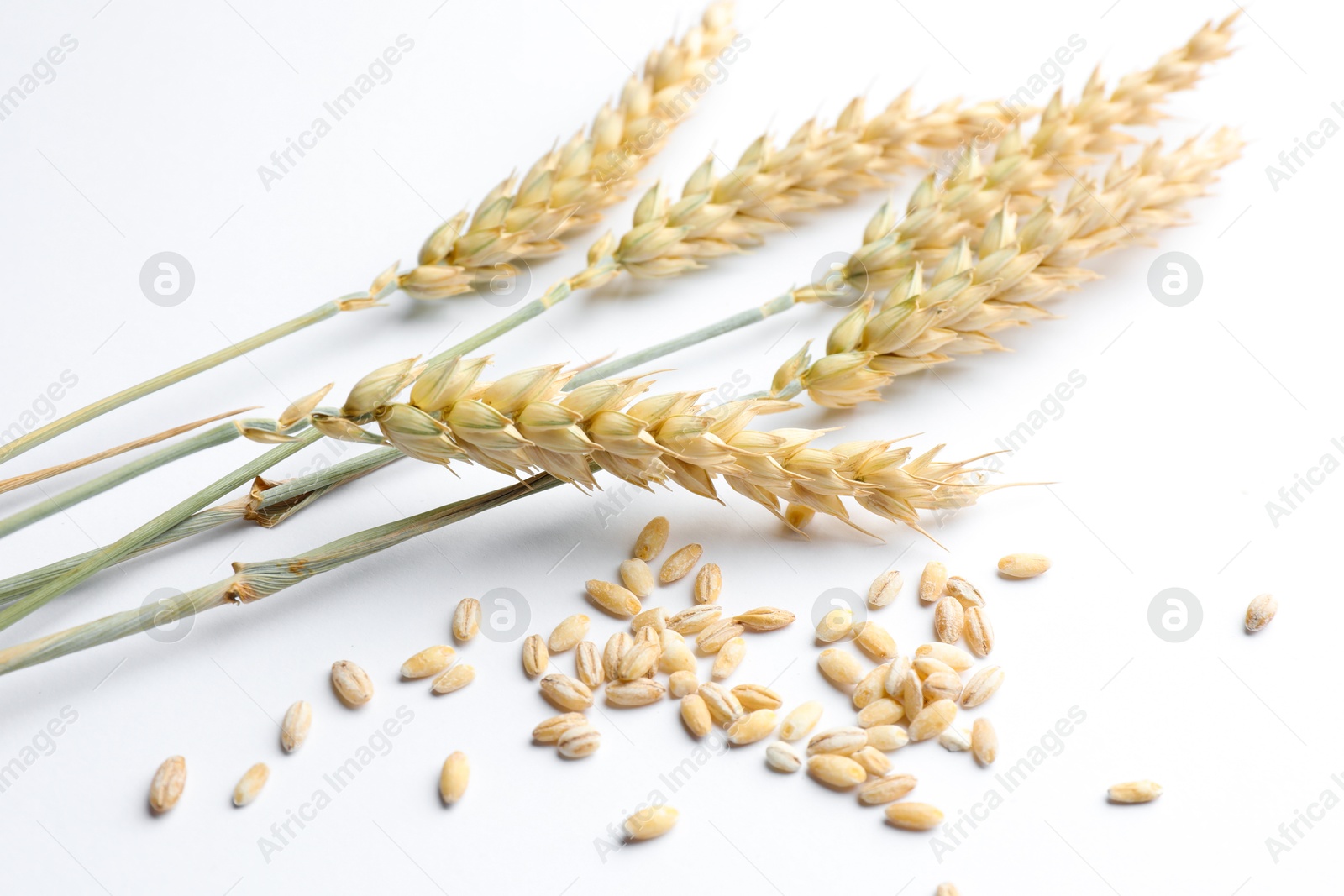 Photo of Wheat spikes and seeds on white background, closeup
