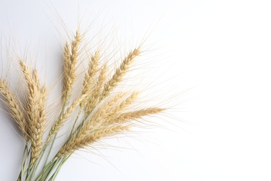 Photo of Wheat spikes on white background, flat lay. Space for text