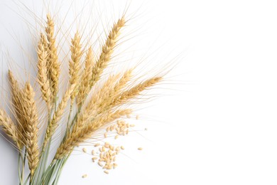 Photo of Wheat spikes and seeds on white background, flat lay. Space for text