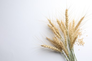 Photo of Wheat spikes and seeds on white background, flat lay. Space for text