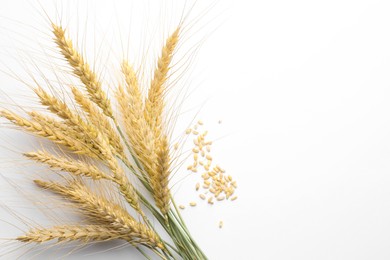 Photo of Wheat spikes and seeds on white background, flat lay. Space for text