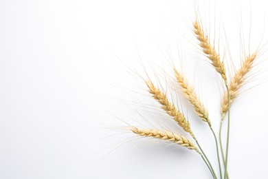 Photo of Wheat spikes on white background, flat lay. Space for text