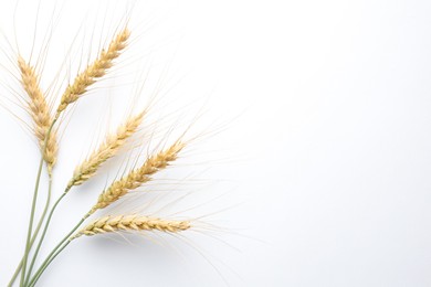 Photo of Wheat spikes on white background, flat lay. Space for text