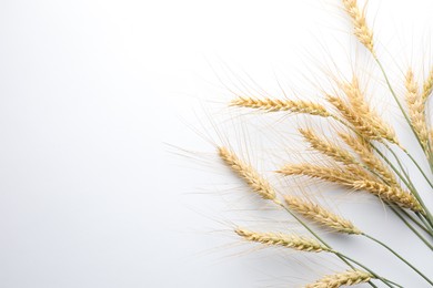 Photo of Wheat spikes on white background, flat lay. Space for text