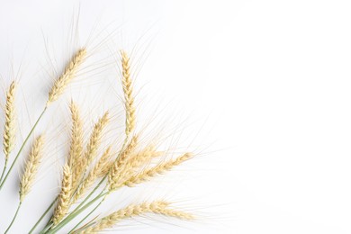 Photo of Wheat spikes on white background, flat lay. Space for text