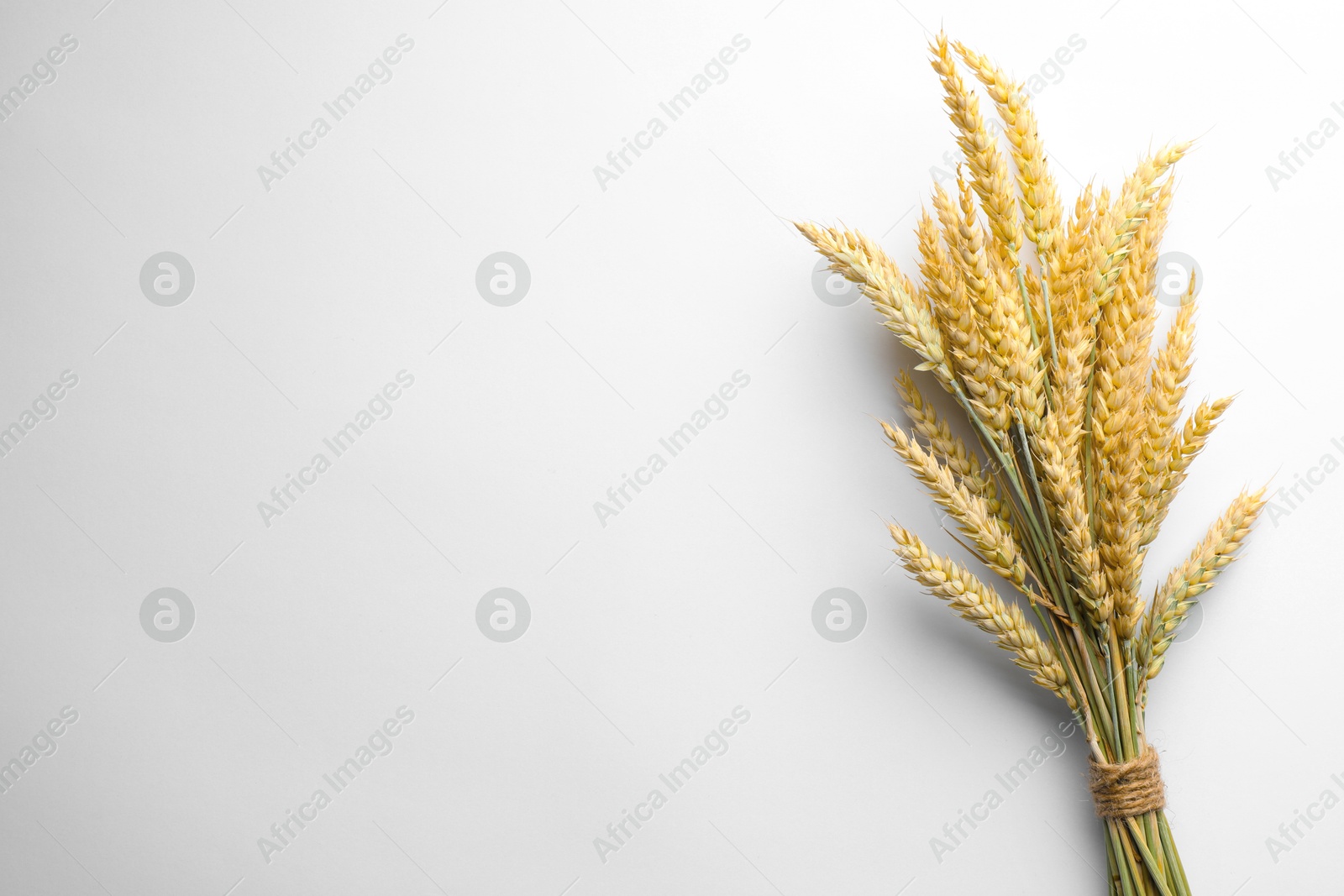 Photo of Bunch of wheat spikes on white background, top view. Space for text
