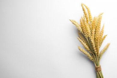 Photo of Bunch of wheat spikes on white background, top view. Space for text