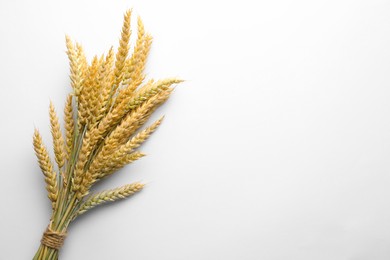 Photo of Bunch of wheat spikes on white background, top view. Space for text