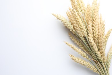 Photo of Wheat spikes on white background, top view. Space for text