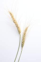 Photo of Wheat spikes on white background, flat lay