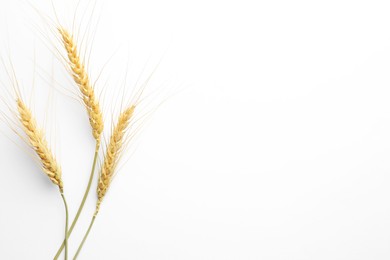 Photo of Wheat spikes on white background, flat lay. Space for text
