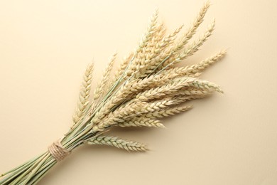 Photo of Bunch of wheat spikes on beige background, top view
