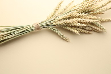 Photo of Bunch of wheat spikes on beige background, top view. Space for text