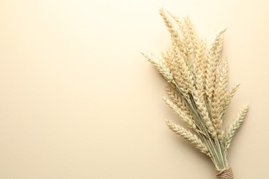 Photo of Bunch of wheat spikes on beige background, top view. Space for text