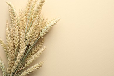 Photo of Wheat spikes on beige background, flat lay. Space for text