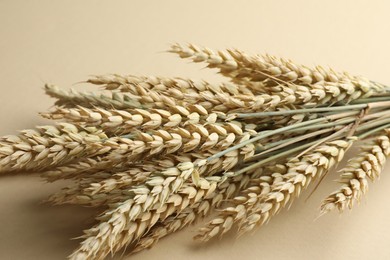 Photo of Many wheat spikes on beige background, closeup