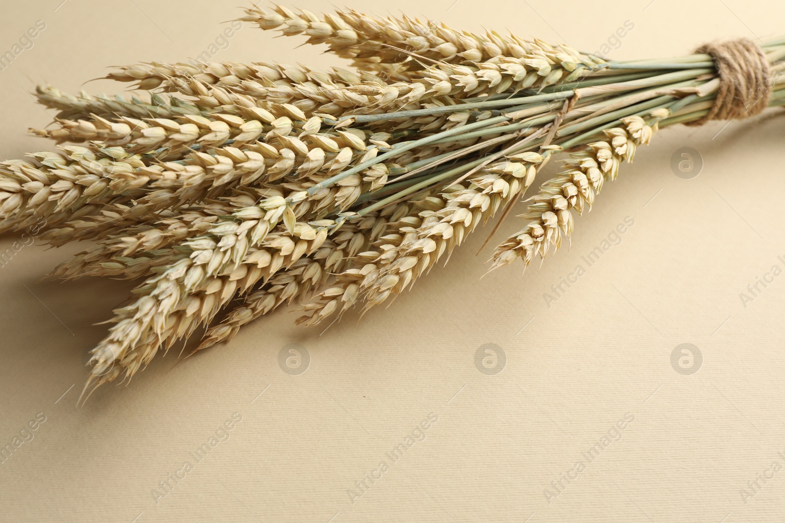Photo of Many wheat spikes on beige background, closeup