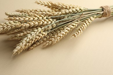 Photo of Many wheat spikes on beige background, closeup