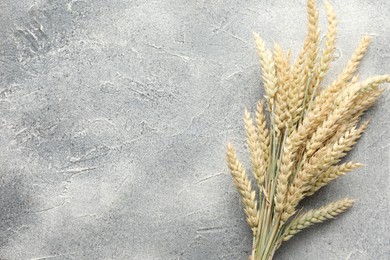 Photo of Many wheat spikes on grey textured table, top view. Space for text