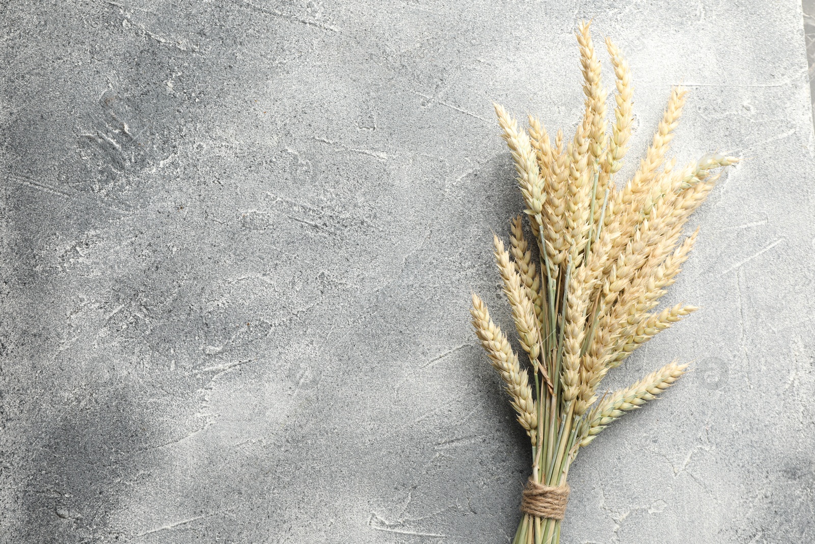 Photo of Bunch of wheat spikes on grey textured table, top view. Space for text