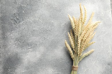 Photo of Bunch of wheat spikes on grey textured table, top view. Space for text