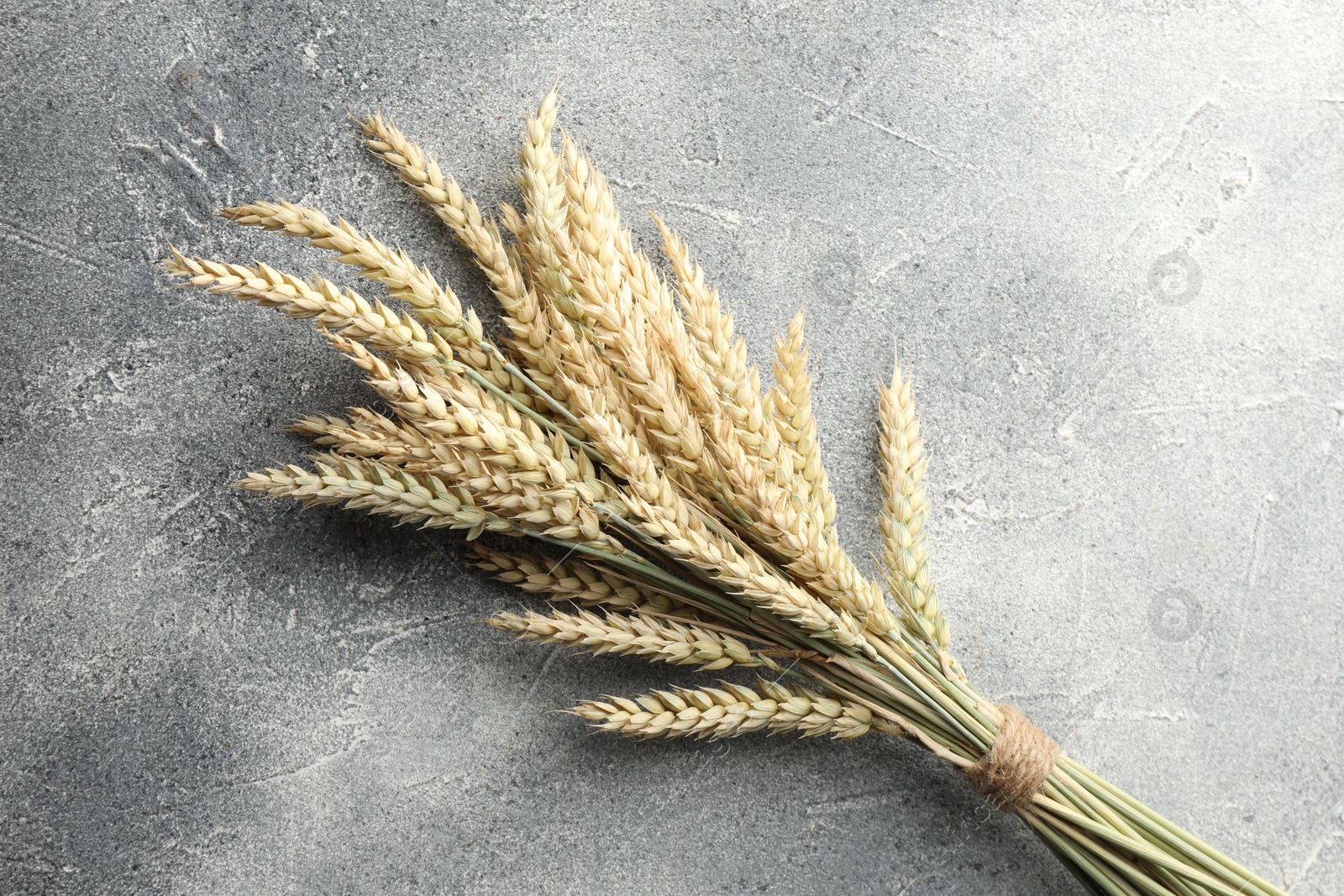 Photo of Bunch of wheat spikes on grey textured table, top view