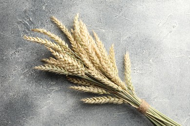 Photo of Bunch of wheat spikes on grey textured table, top view