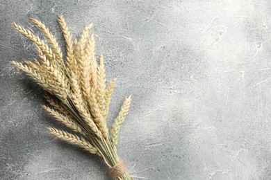 Photo of Bunch of wheat spikes on grey textured table, top view. Space for text