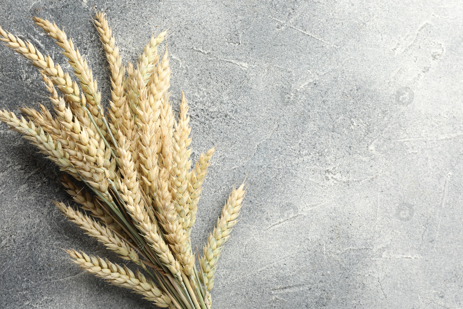 Many wheat spikes on grey textured table, top view. Space for text Photo of Many wheat spikes on grey textured table, top view. Space for text