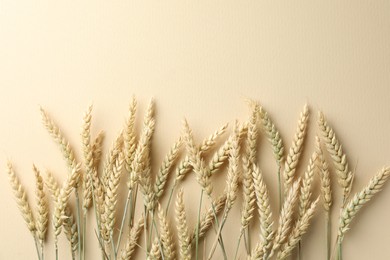 Photo of Many wheat spikes on beige background, flat lay. Space for text