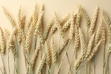 Photo of Many wheat spikes on beige background, flat lay