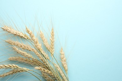 Photo of Many wheat spikes on light background, flat lay. Space for text