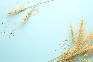 Photo of Many wheat spikes and seeds on light background, flat lay. Space for text