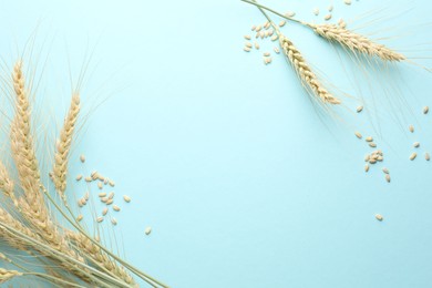 Photo of Many wheat spikes and seeds on light background, flat lay. Space for text