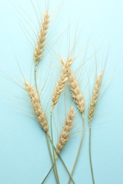 Photo of Many wheat spikes on light turquoise background, flat lay