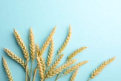 Photo of Many wheat spikes on light turquoise background, flat lay
