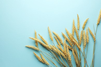 Photo of Many wheat spikes on light turquoise background, flat lay. Space for text