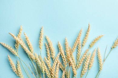Photo of Many wheat spikes on turquoise background, flat lay
